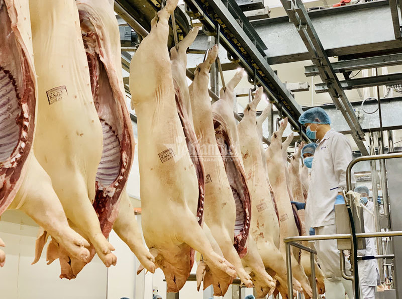 Chờ mãi rồi cũng giảm, từ 1/4 giá thịt lợn còn 70 ngàn/kg